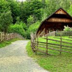 Jeder Gärtner kennt den Frust, wenn seine sorgsam gepflegten Pflanzen von Schädlingen zerstört werden. Besonders Schnecken können im Garten verheerende Schäden anrichten und eine Spur der Verwüstung hinterlassen. Wenn Sie den Kampf gegen diese schleimigen Plagegeister satt haben, hat Innogard die perfekte Lösung. Mit dem innovativen Sortiment an Schneckenzäunen und Rasenkantenprodukten schützen Sie Ihren Garten nachhaltig, effektiv und stilvoll.