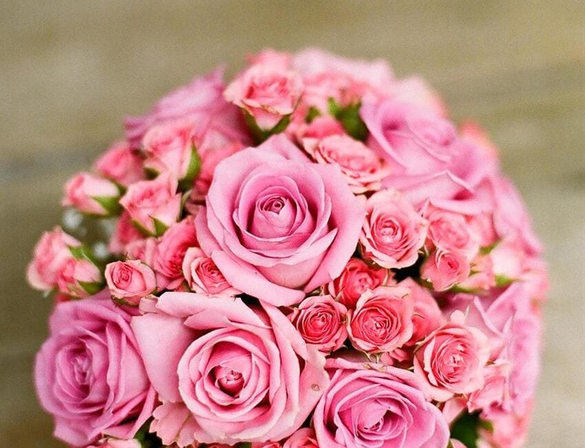 Flowers have always been more than just a gift. They are messages of care, celebrations in bloom, and sometimes even quiet comforts. MyFlowers takes this timeless tradition and pairs it with modern convenience, making sure every bouquet is fresh, fast, and meaningful. With their UK-wide delivery and commitment to quality, they have quickly become a go-to choice for customers who want reliable service and beautiful results.